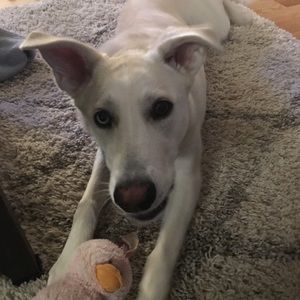 Meet your Posher, Jenn